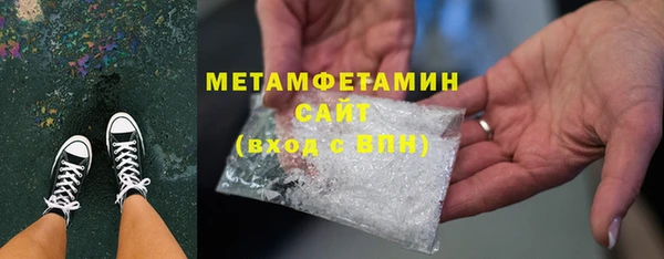сатива Ельня
