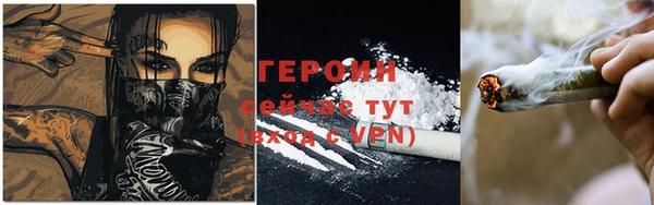 сатива Ельня