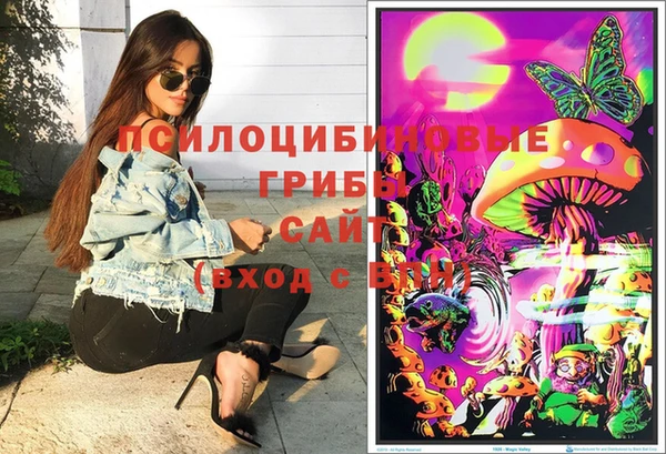 сатива Ельня