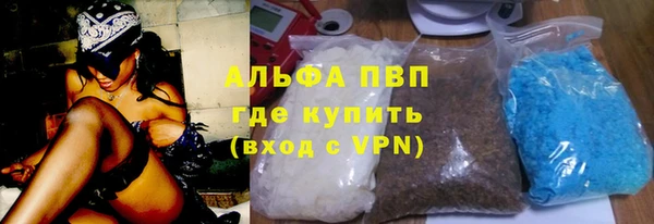 сатива Ельня