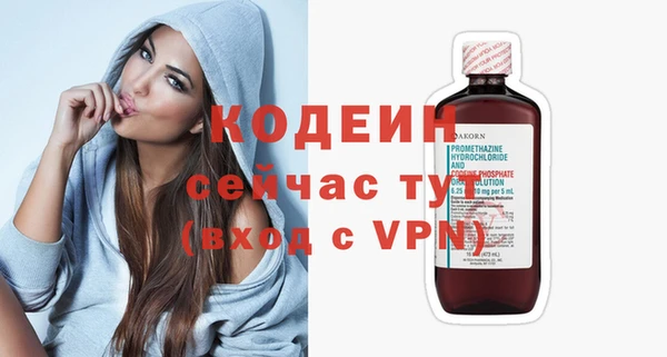 сатива Ельня