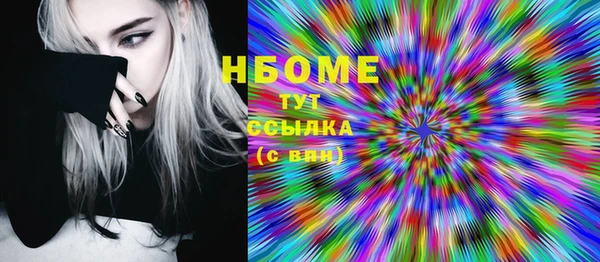 сатива Ельня