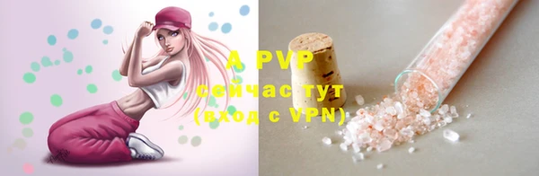 сатива Ельня