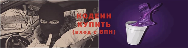 сатива Ельня