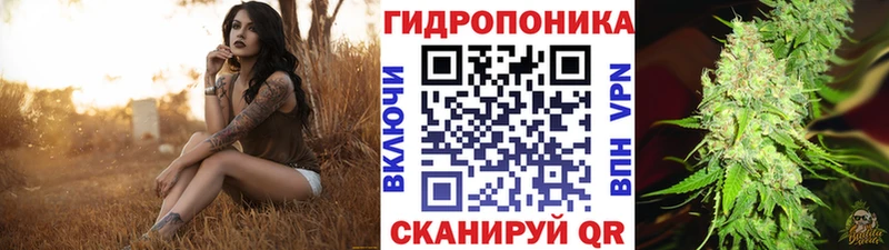 Бошки марихуана Ganja  Купить где  Зима 